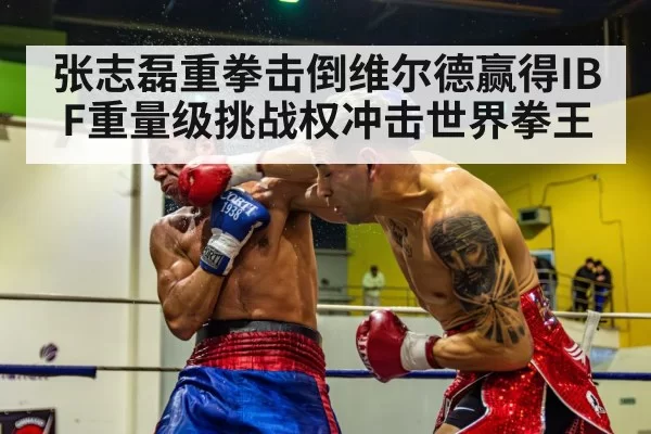 张志磊重拳击倒维尔德赢得IBF重量级挑战权冲击世界拳王