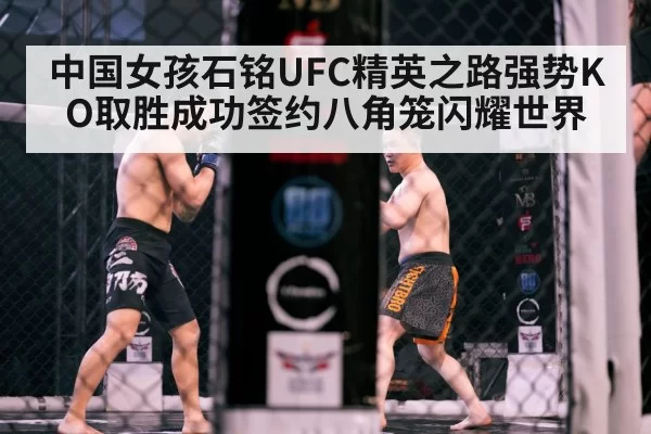 MMA cage fight